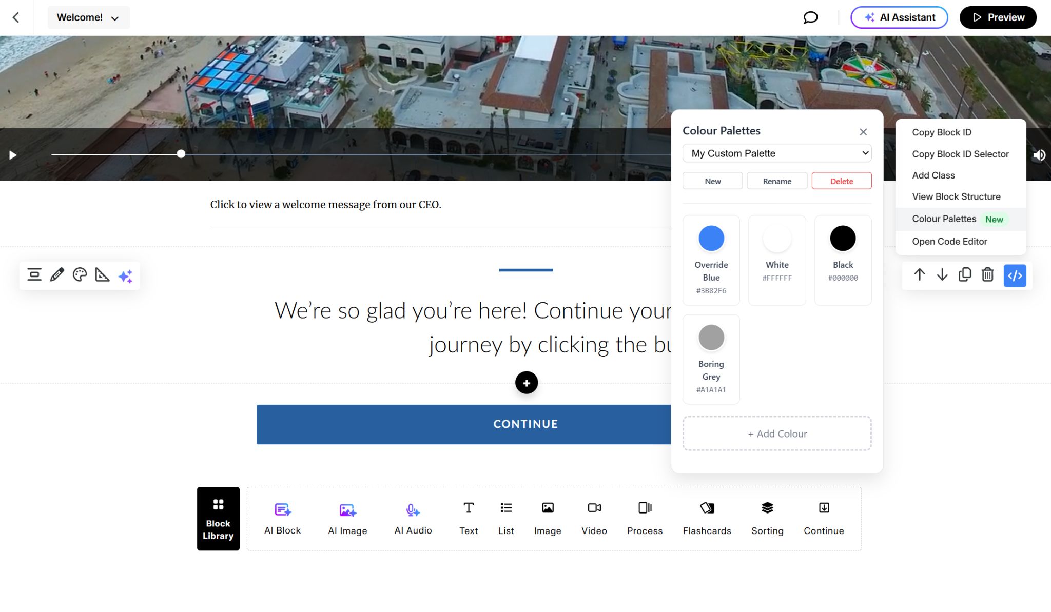 RiseOverride v1.6.3 Colour Palettes feature showing organized color management for training course creators